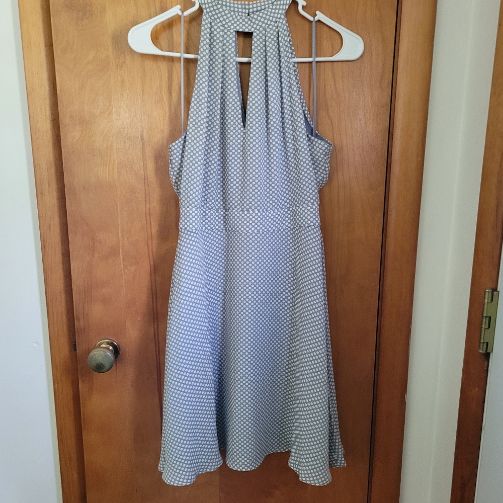 Express Polka Dot Dress